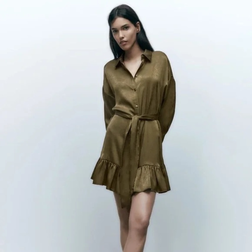 NWT Zara Brown Mini Shirt Dress